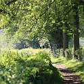 IMG_6904