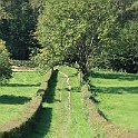 IMG_6906