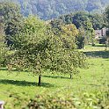 IMG_6909
