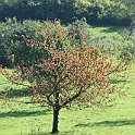 IMG_6914