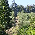 IMG_6916
