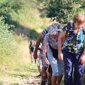 IMG_6919