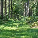 IMG_6931