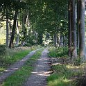 IMG_6933