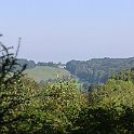 IMG_6934