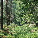 IMG_6940