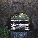 IMG_6961