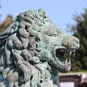 IMG_6967
