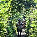 IMG_6972
