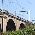 IMG_6977