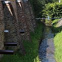 IMG_6993